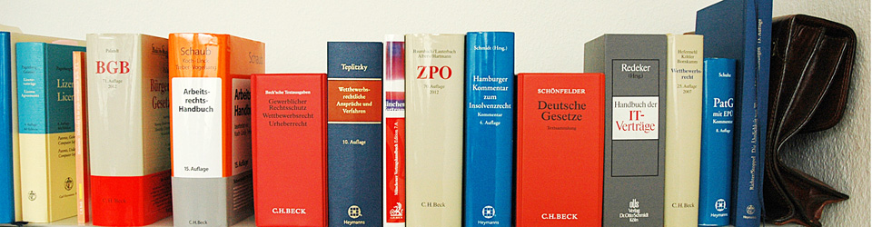 Internet für Juristen: Marketing, Webdesign, SEO